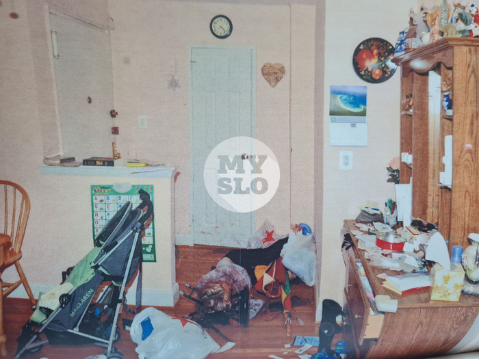 ���� ������ ���������.