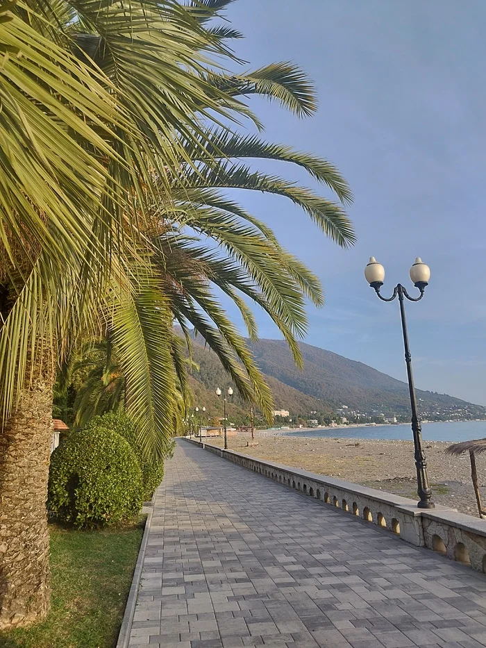 Post-war devastation and chaos in Abkhazia - My, Nostalgia, Abkhazia, The photo, Politics, Beach vacation, Nature, Longpost