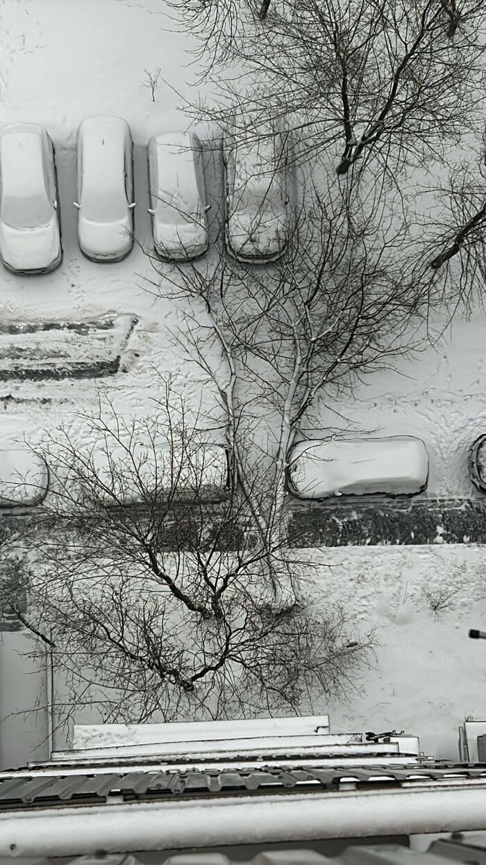 Post #12132466 - My, Snowfall, Tree, The fall, View from the window, Courtyard, The photo