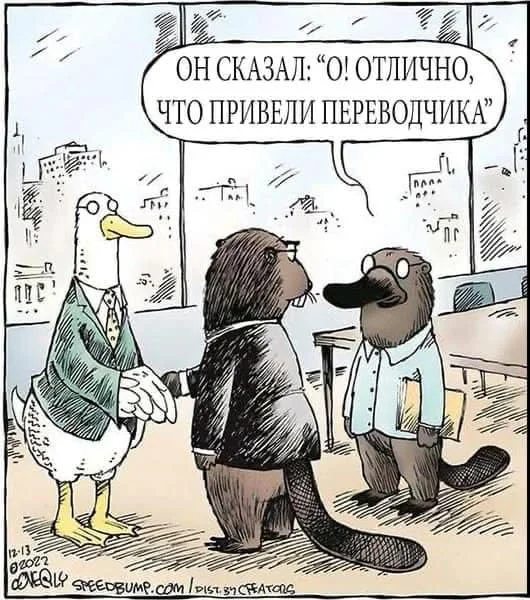 Post #12132507 - Humor, Picture with text, Гусь, Beavers, beaver whore, Joke, Comics, Translator, Repeat