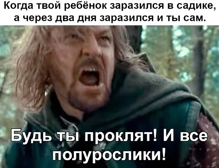 Post #12132675 - Lord of the Rings, Boromir, The hobbit, Children, Vital, Picture with text, Translated by myself, VKontakte (link)