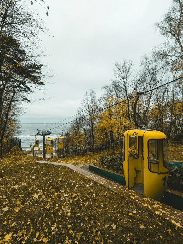 Post #12132860 - My, Positive, Kaliningrad region, Cable car, The photo, Childhood, Childhood memories, Liaz-677, Nostalgia, Childhood in the USSR, Memory, Kaliningrad, Svetlogorsk, Atmospheric, Longpost