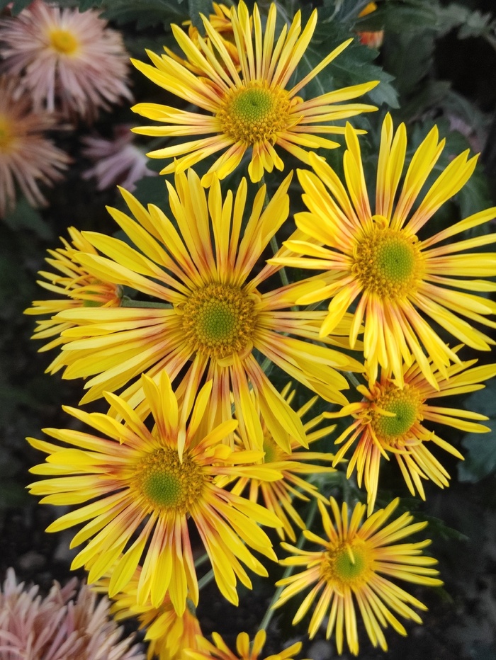 Фото Н. Юрковой.