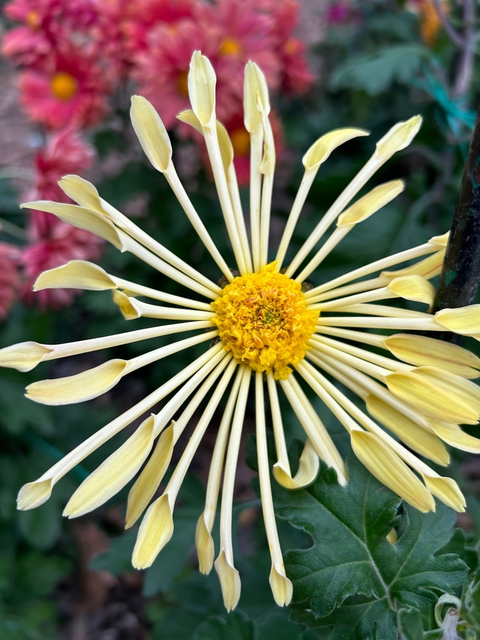 Фото Т. Варламовой.