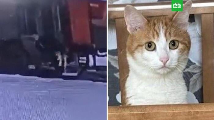    ,  , 