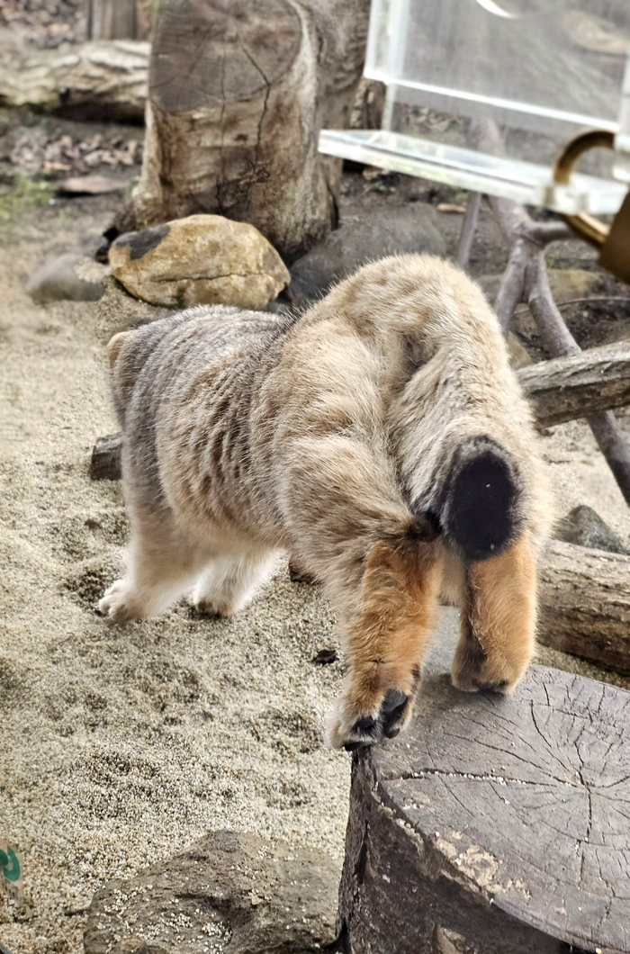 Всё, я сваливаю