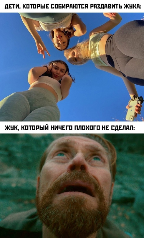 Bug - Humor, Memes, Picture with text, Жуки, Sad humor, Children