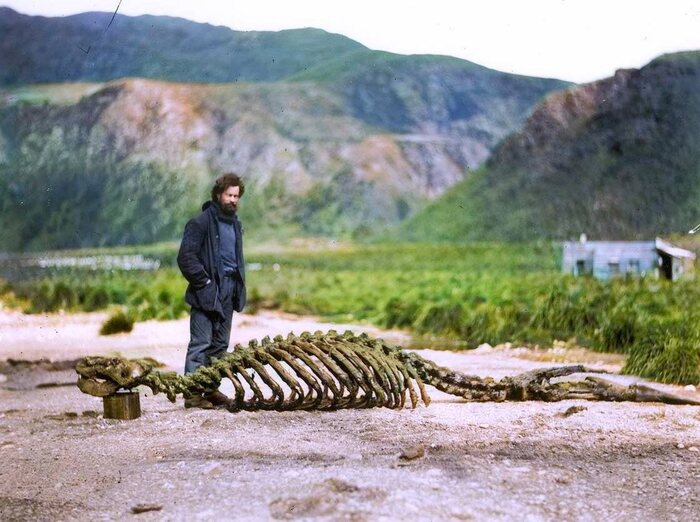 Подборка фотографий из прошлого, которые заставляют удивиться. 20 раскрашенных фотографий из XIX-ХХ века. Часть XIV Старое фото, Историческое фото, Фотография, 20 век, Колоризация, Длиннопост