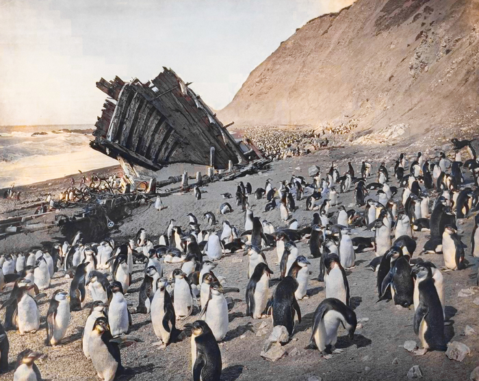 Подборка фотографий из прошлого, которые заставляют удивиться. 20 раскрашенных фотографий из XIX-ХХ века. Часть XIV Старое фото, Историческое фото, Фотография, 20 век, Колоризация, Длиннопост