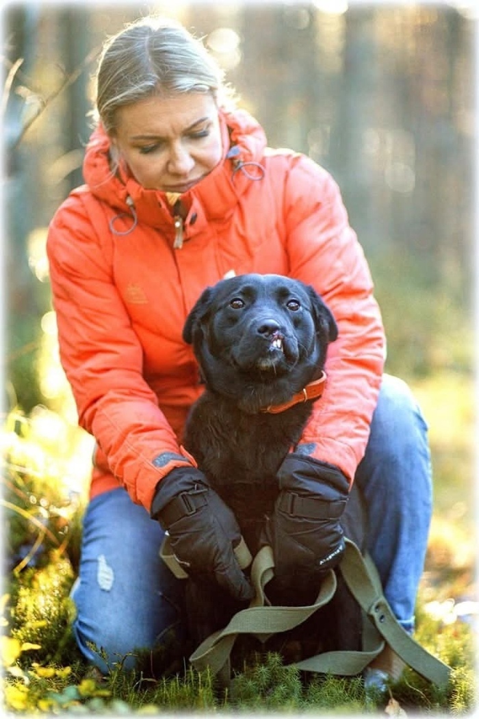 Харизматичная, трогательная собачка Хельга в ожидании любящей семьи