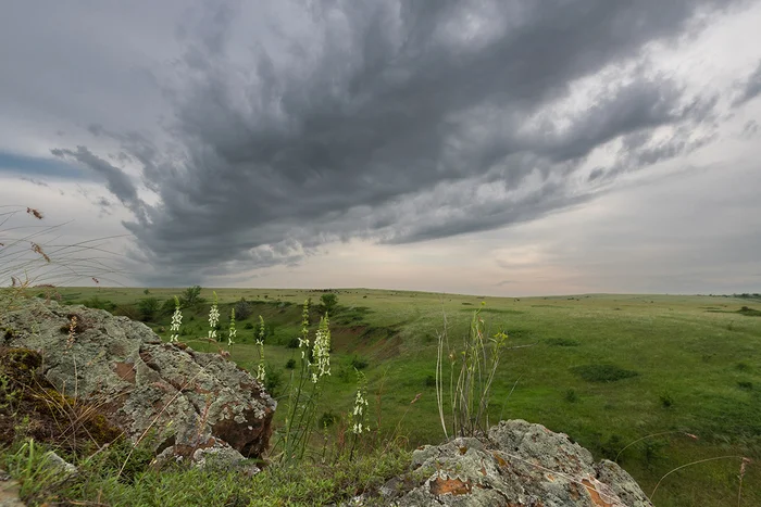 Post #12134959 - My, Rostov region, Steppe, Landscape