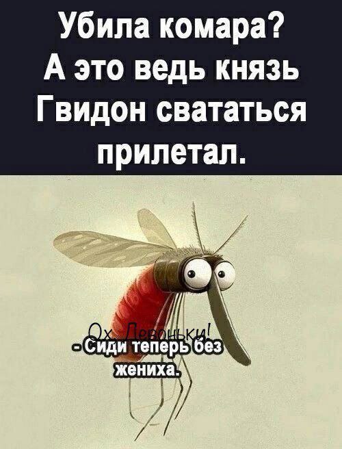 Post #12135435 - Humor, Mosquitoes, Picture with text