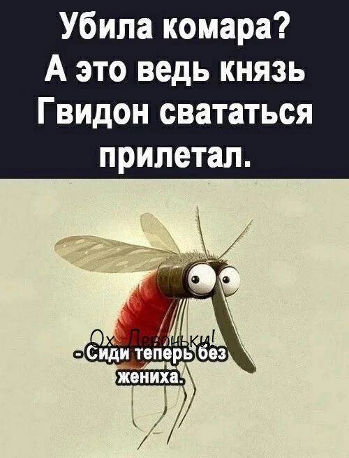 Post #12135435 - Humor, Mosquitoes