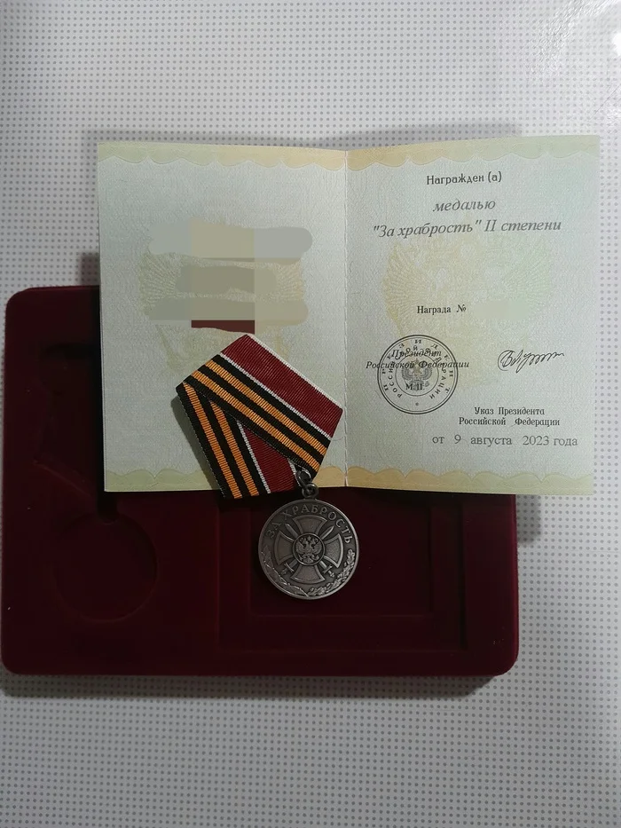 Post #12135560 - My, Special operation, Medals of the NWO, cat, Longpost