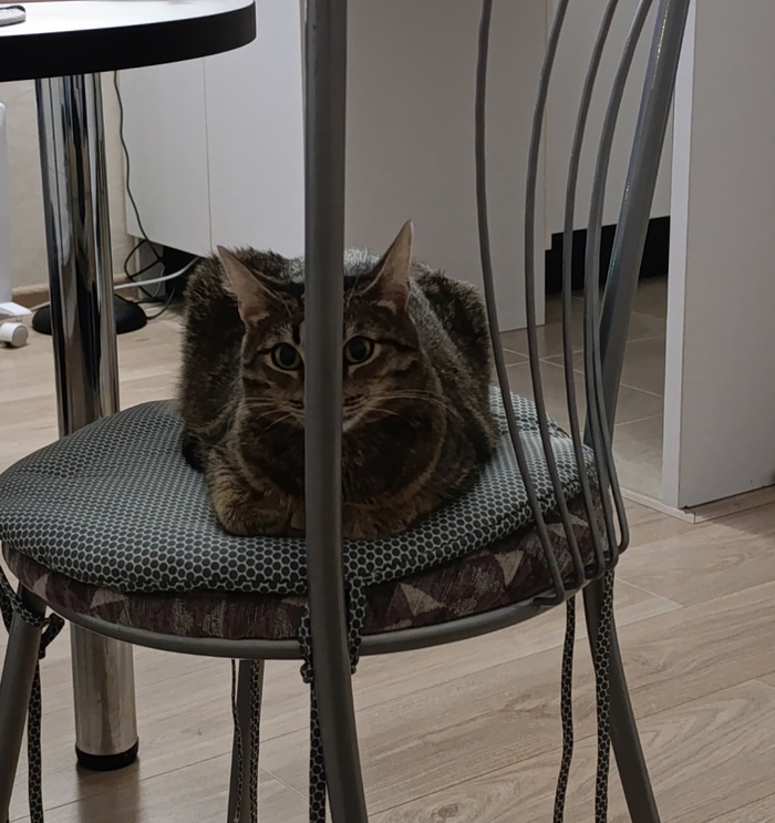 ��� ��������