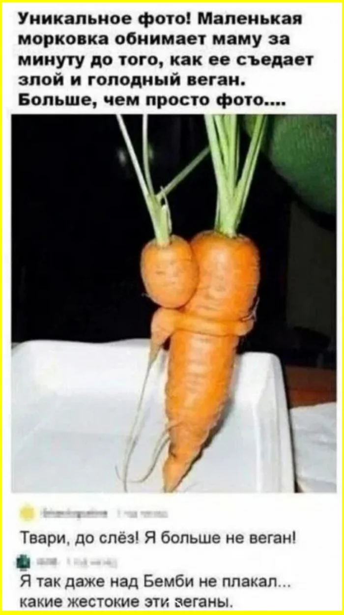 Post #12135866 - Humor, Picture with text, Repeat, Hardened, Carrot, Vegan