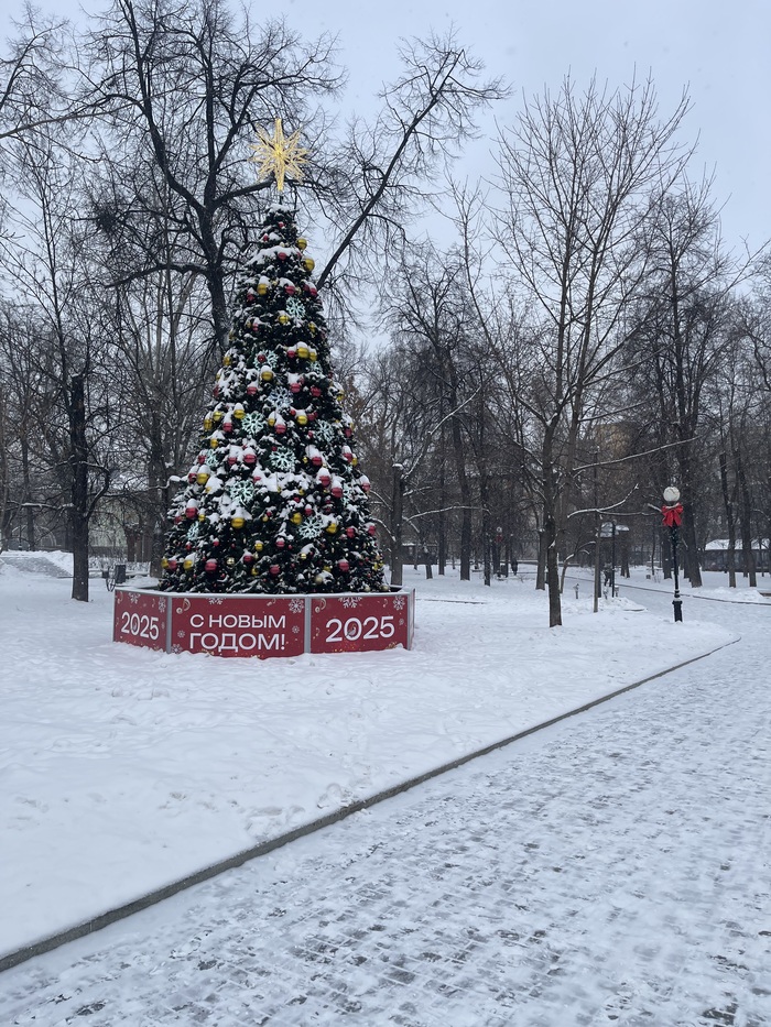 ��� ������� 2024 