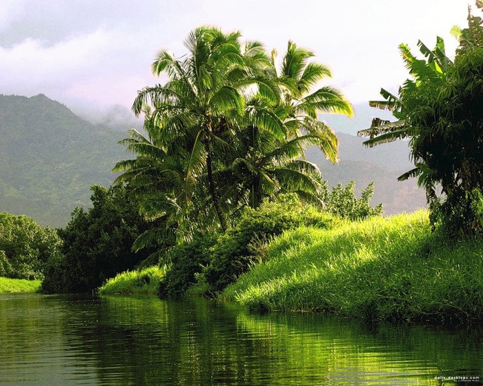 ����������� ����� ����� 6 ������ � �������� � ������ � �������