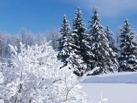 Расшевелить Мозги Часть 7 Лазурь волшебная - Моё, Критическое мышление, Психология, Религия, Философия, Бог, Длиннопост