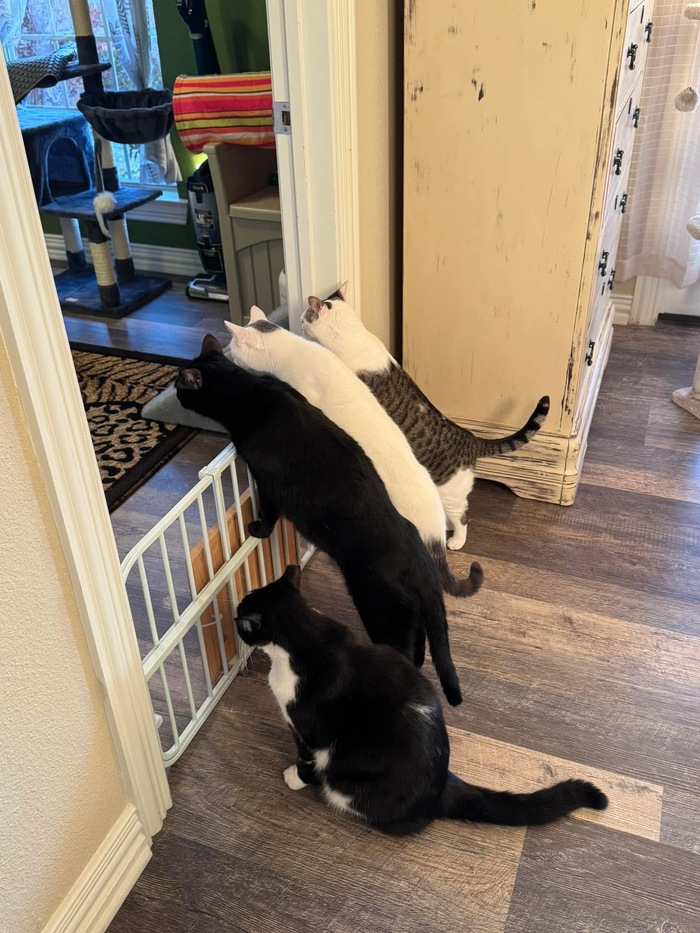 &quot;     -   .  &quot;