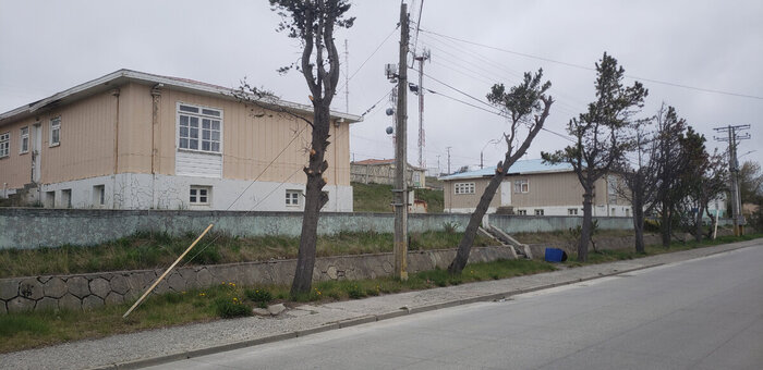 ����� ��� ����