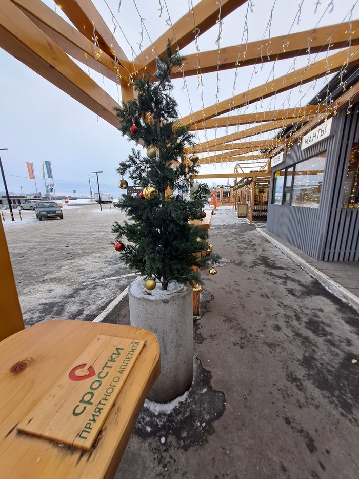 Перекус в Сростках