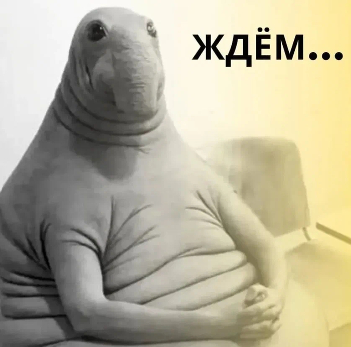 Каждый день…