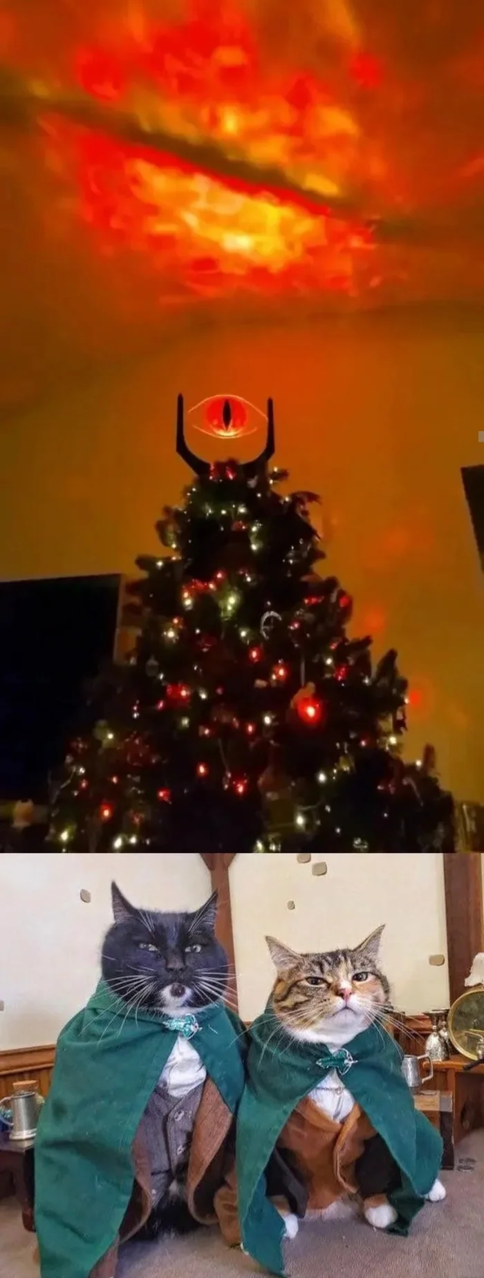 We're almost there, Mr. Frodo. - cat, Christmas trees, Eye of Sauron, Decoration, Longpost