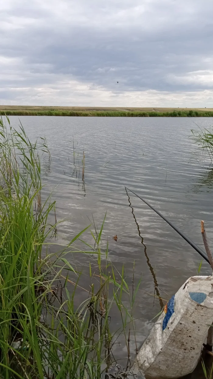 Fishing on the Tobol River - My, Fishermen, Catch, Longpost