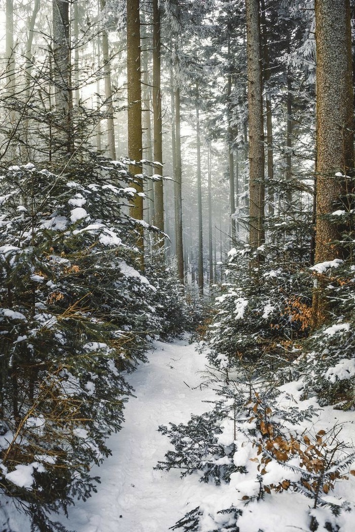 <a href="https://pikabu.ru/story/shepot_lesa_i_kapli_vdokhnoveniya_12138675?u=https%3A%2F%2Ft.me%2F%2BAS7X73pTxEdhMTIy&t=%D0%9B%D0%B5%D1%81%D0%BD%D0%BE%D0%B9&h=bc48b585d41b4be35e15812ff5c52cc2b265e0dc" title="https://t.me/+AS7X73pTxEdhMTIy" target="_blank" rel="nofollow noopener"></a>&#x1F384;