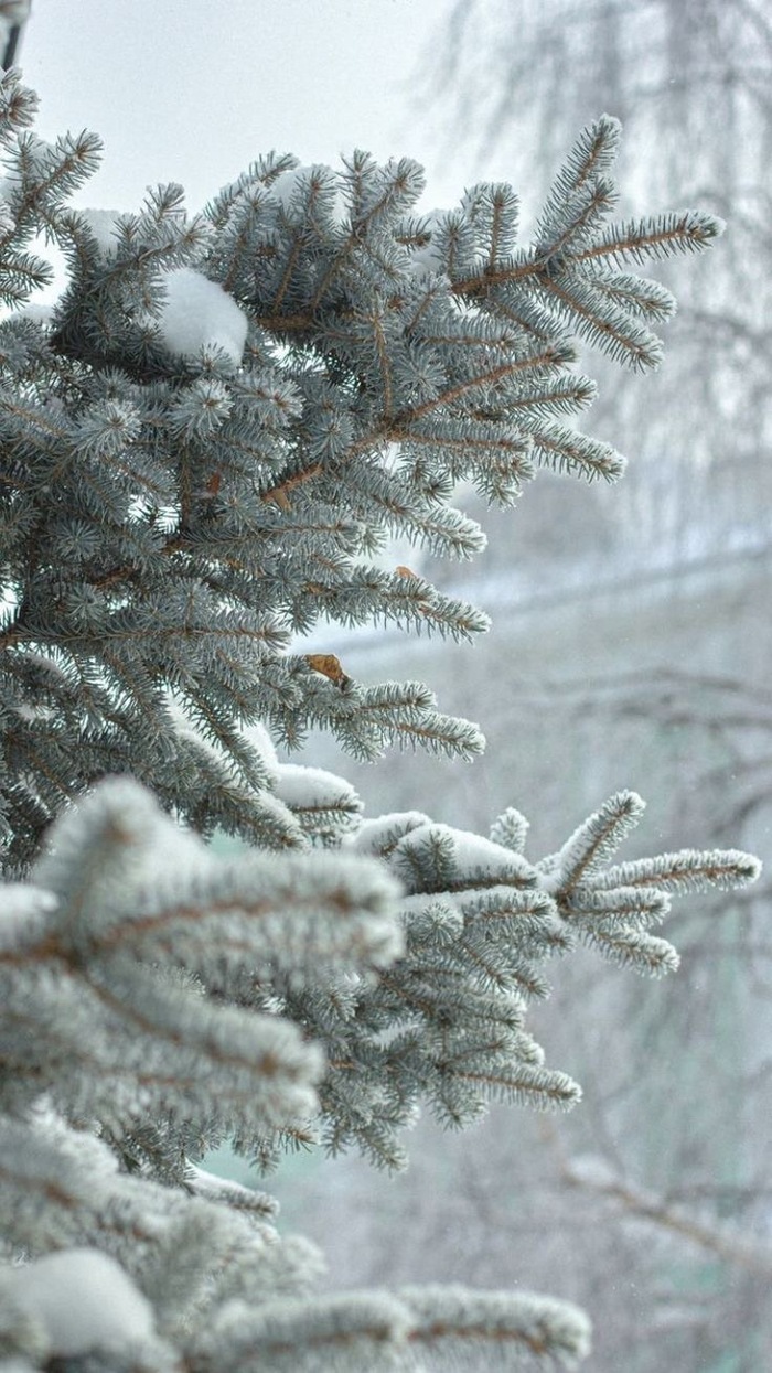 <a href="https://pikabu.ru/story/shepot_lesa_i_kapli_vdokhnoveniya_12138675?u=https%3A%2F%2Ft.me%2F%2BAS7X73pTxEdhMTIy&t=%D0%9B%D0%B5%D1%81%D0%BD%D0%BE%D0%B9&h=bc48b585d41b4be35e15812ff5c52cc2b265e0dc" title="https://t.me/+AS7X73pTxEdhMTIy" target="_blank" rel="nofollow noopener"></a>&#x1F384;