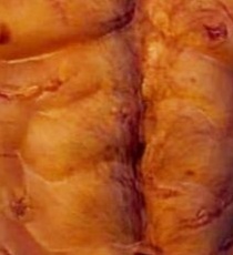 Шрамы на груди Геральт получил от удара вилами, которое нанёс ведьмаку Роб.(Три отверстия.с левого края,по середине,и сверху на краю)