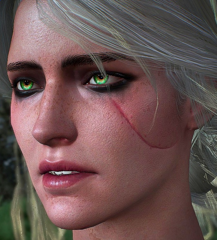 Шрам на лице Цири оставил Стефан Скеллен.