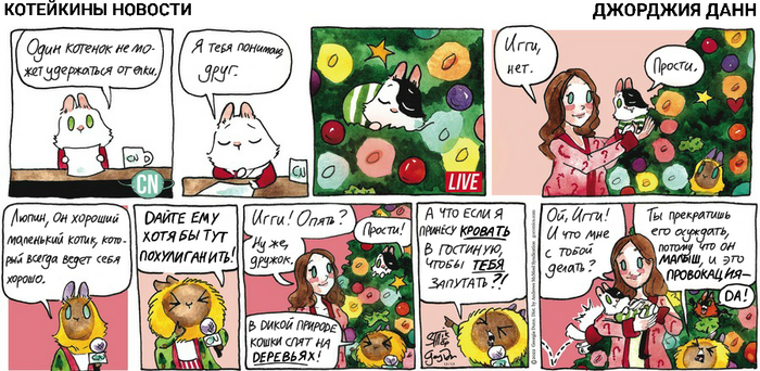 Котейкины Новости от 15.12.2024