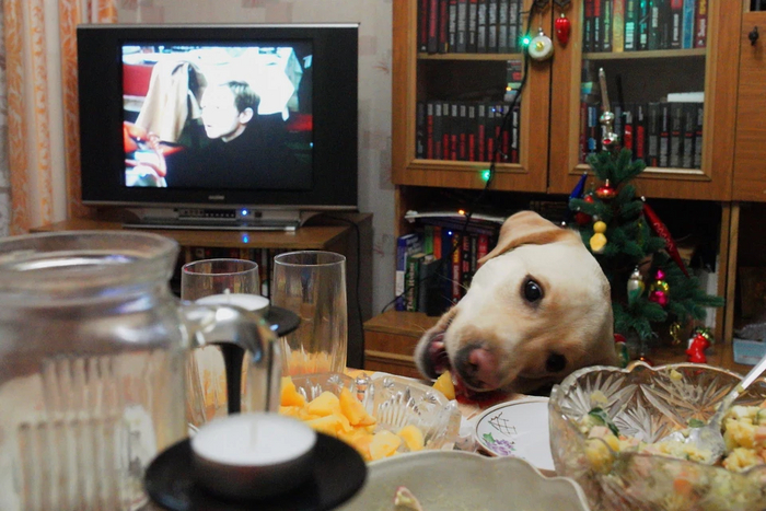 Около 50% опрошенных россиян не планируют смотреть новогоднее шоу