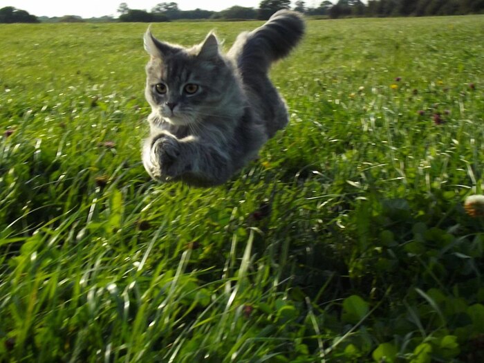 �������� � ����))