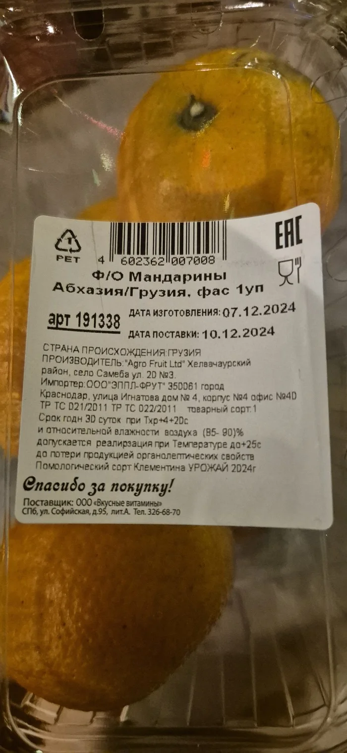 Подожди, это на новый год! - Моё, Мандарины, Абхазия, Грузия, Длиннопост