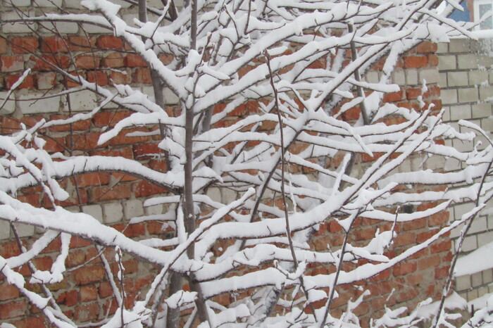 ������ ������.���� �� �����