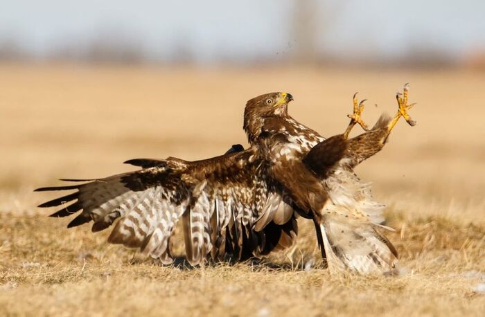 Поскользнулся