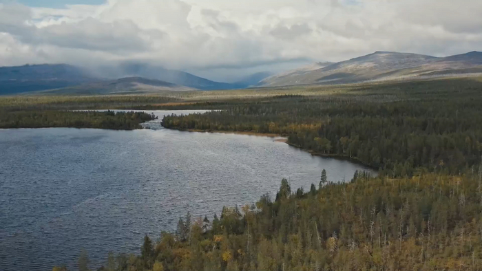 ������� ��������� �������� �������� ���������� �����������