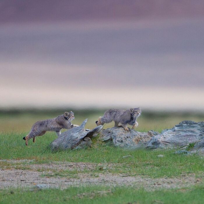 Бежим скорее!