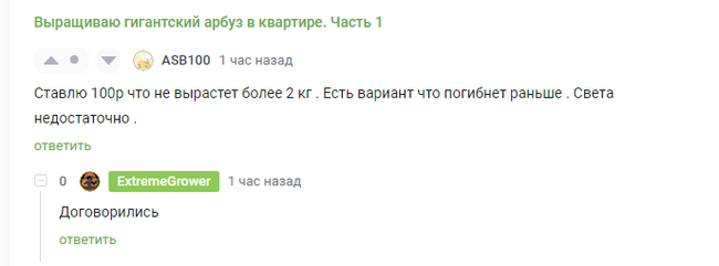 Считанные часы до победы в арбузном пари пикабушника - Моё, Пари, Спор, Сад, Растения, Длиннопост, Скриншот, Комментарии на Пикабу