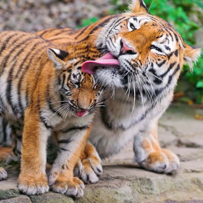 Наведение красоты перед фотосессией