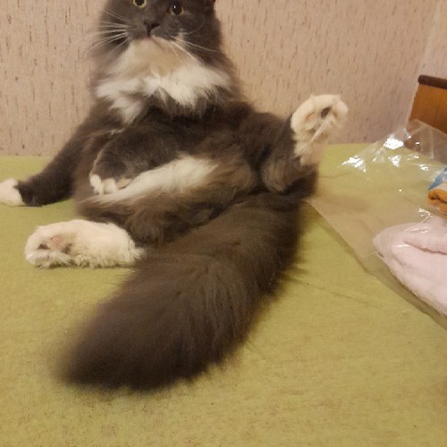   , , , ,  , , , 