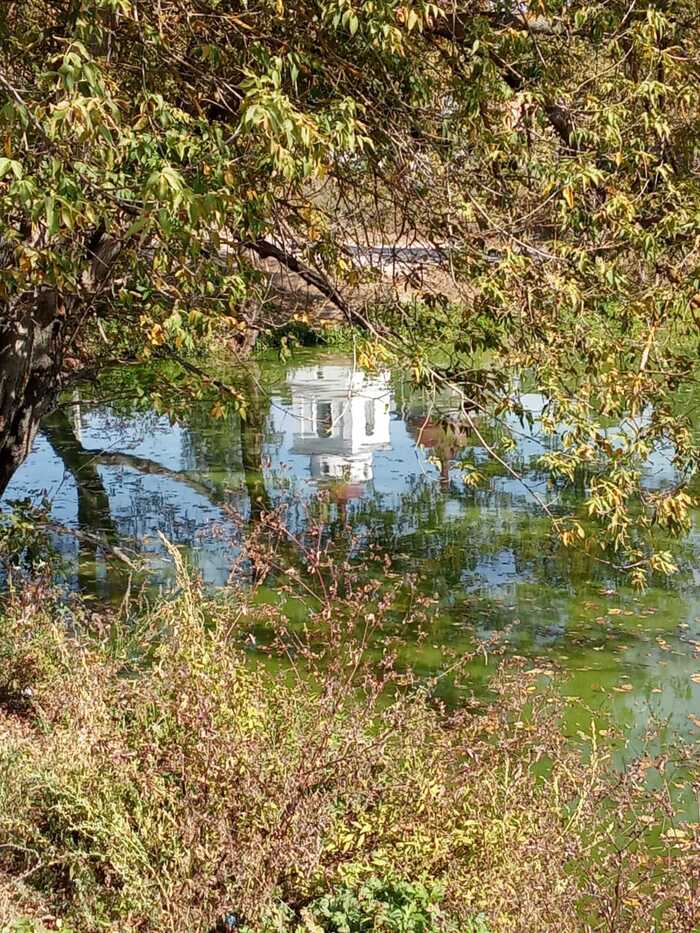 Пруд, отражение, осень