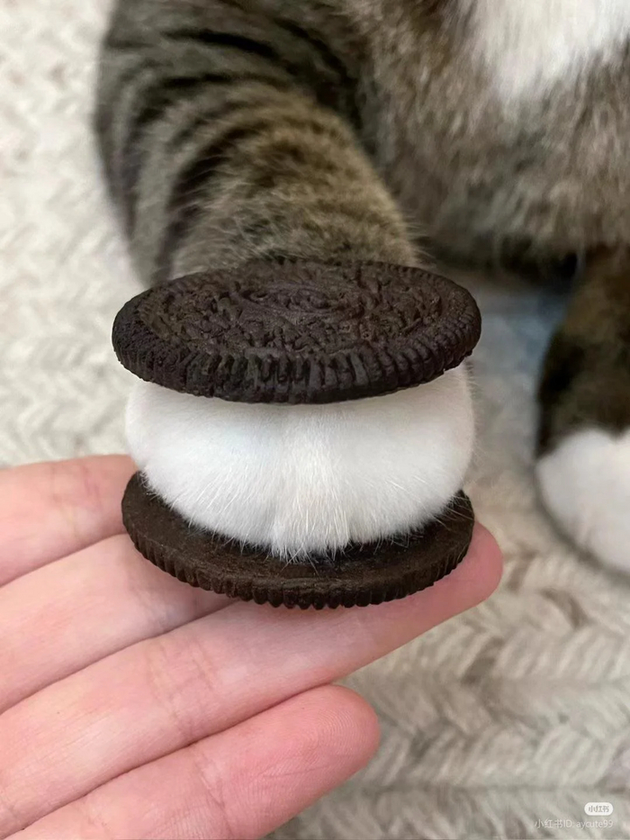  "Oreo"    , , Oreo, 
