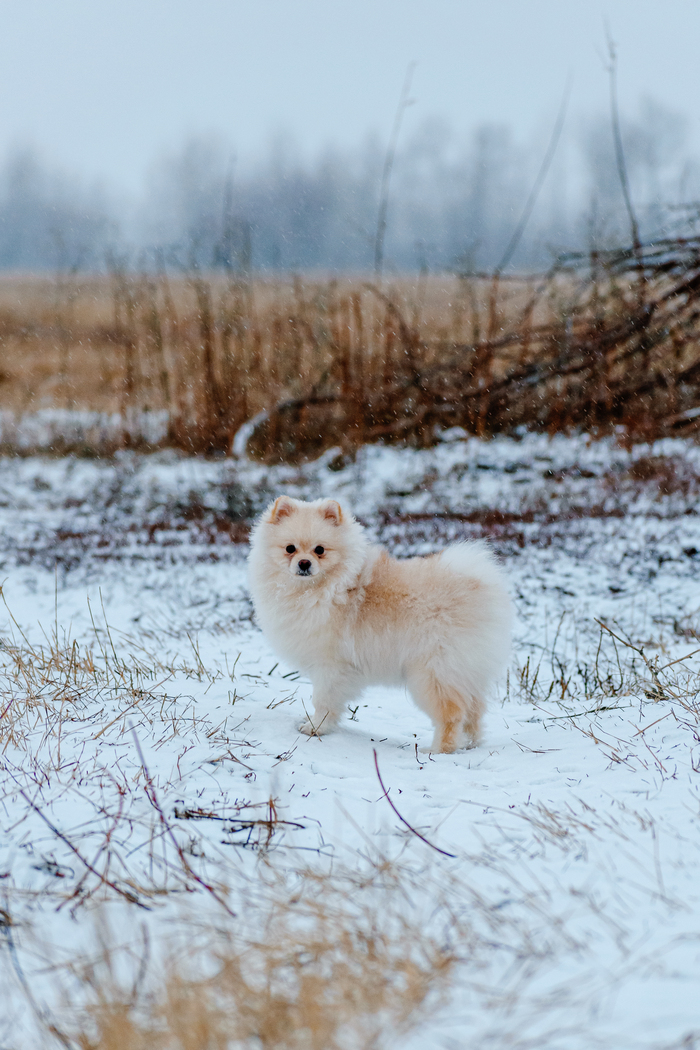Сфоткай меня