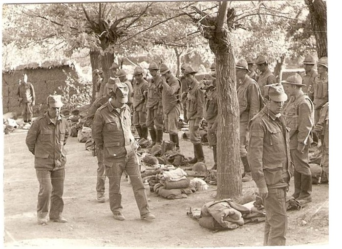 , 1984    . - ,  ,  ,     .