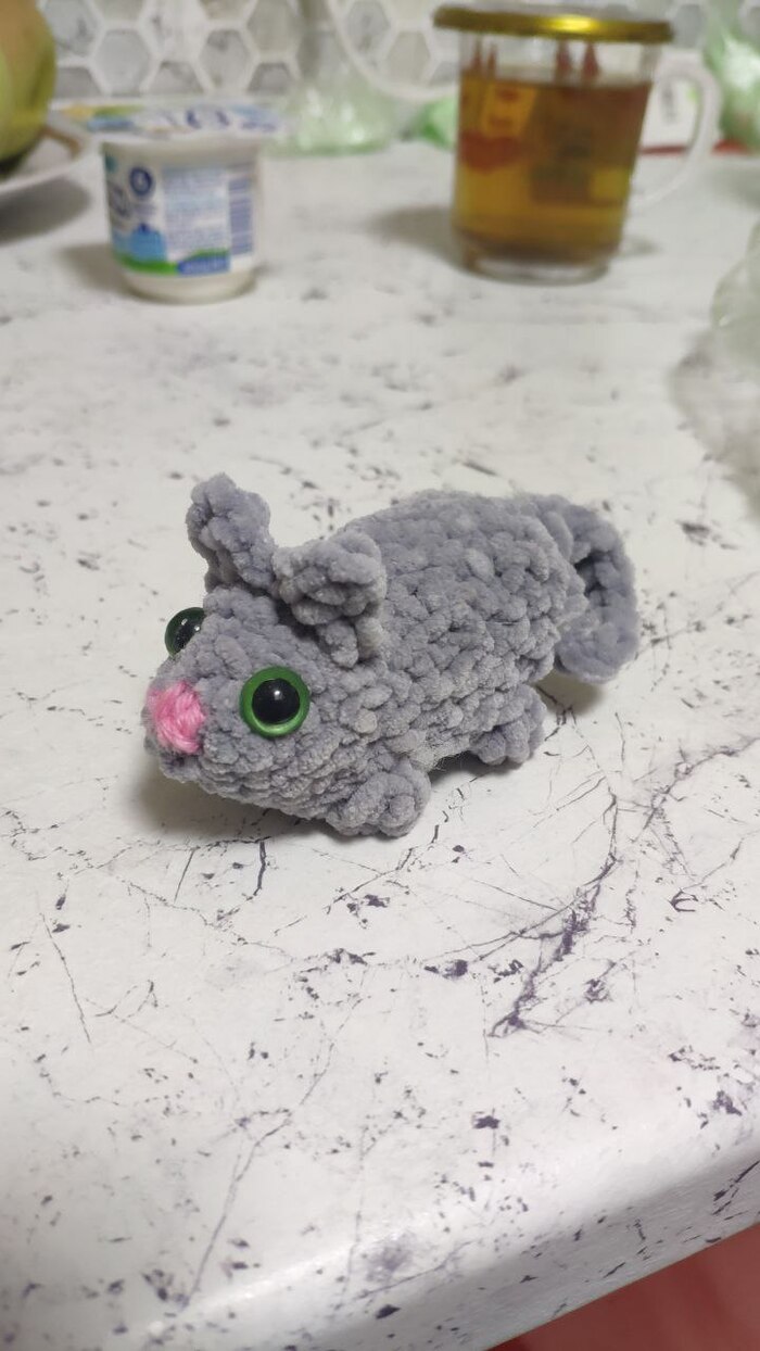 говорит, это котик, а мне кажется морская свинка какая-то