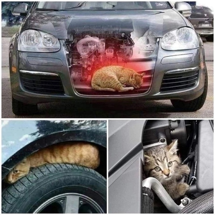 ������ �����������. �� ������ ������ �����!!! ���, ��� ��������, ������ ��������, ����������